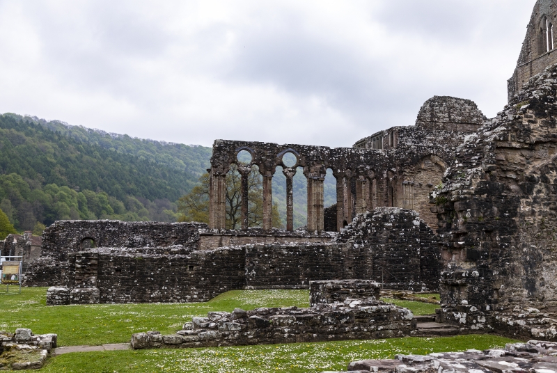 Tintern Abbey, Wales May 2022